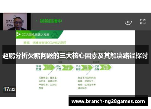 赵鹏分析欠薪问题的三大核心因素及其解决路径探讨 赵鹏分析欠薪问题的三大核心因素及其解决路径探讨
