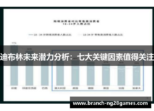迪布林未来潜力分析：七大关键因素值得关注